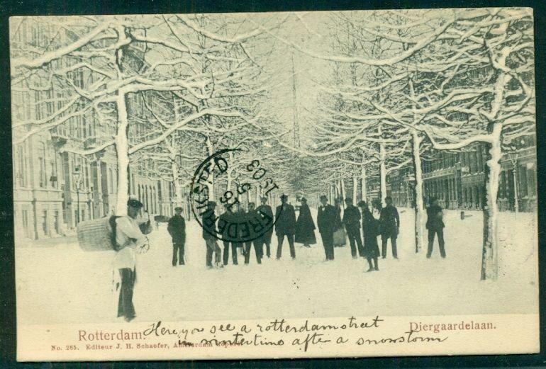 DANISH WEST INDIES 1903 INCOMING postcard from NETHERLANDS w/St. Thomas transit