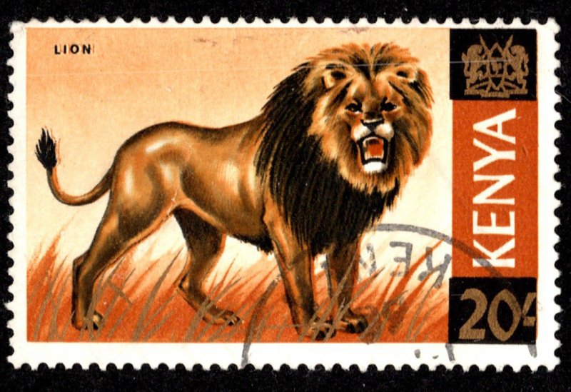 Kenya Scott 35 Used.