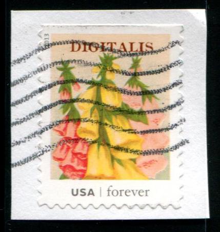 4756 US (46c) Digitalis SA, used on paper