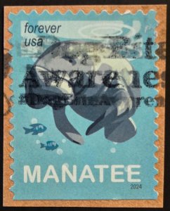 US 5851 (2024 Save Manatees)