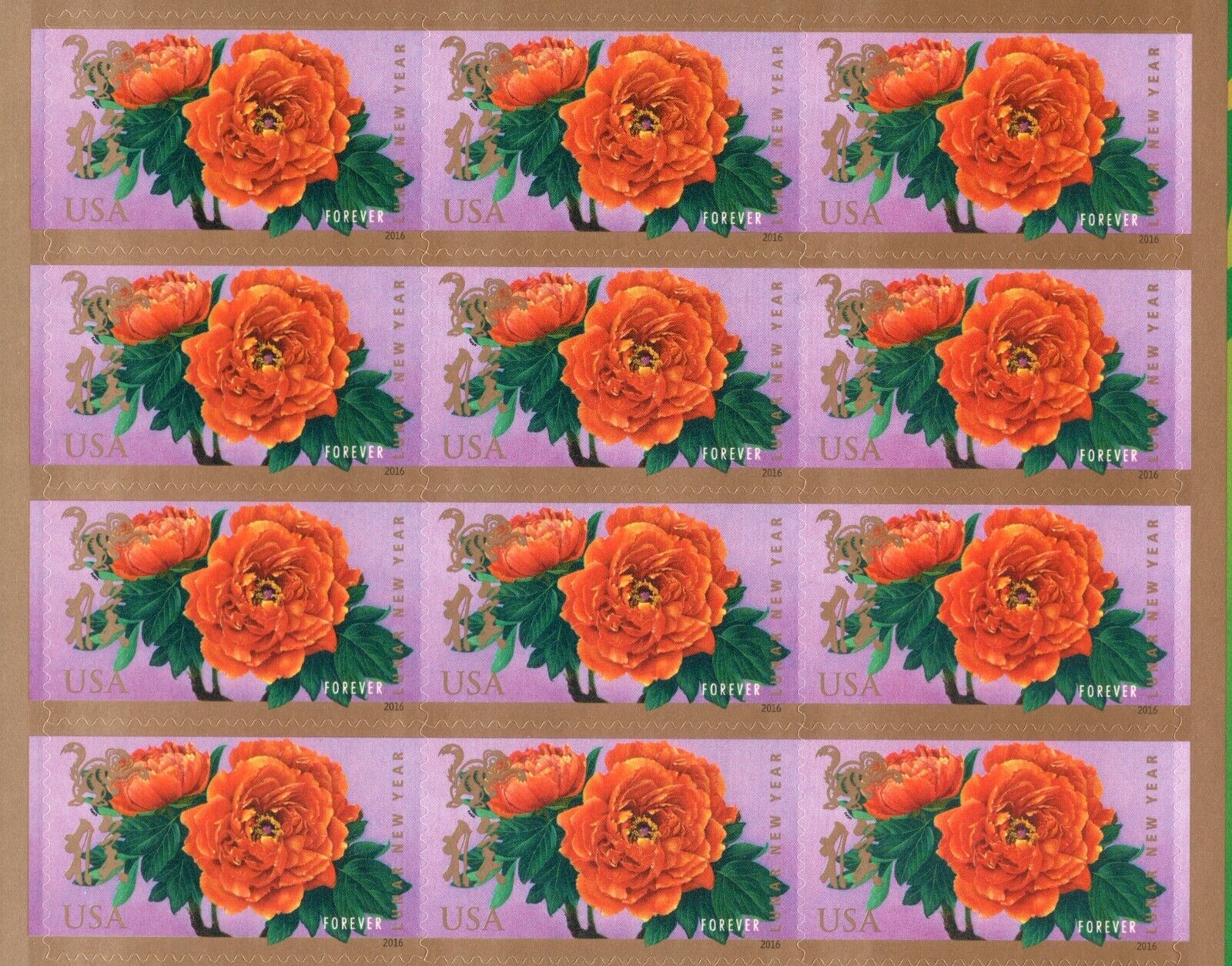 Scott #5460 Chrysanthemum Sheet of 10 Global Forever Stamps - MNH