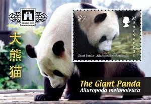 Montserrat - 2010 The Giant Panda Beijing 2010 Expo - Souvenir Sheet - MNH