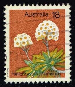 Australia #564 Helichrysum Thomsonii; Used (0.25)