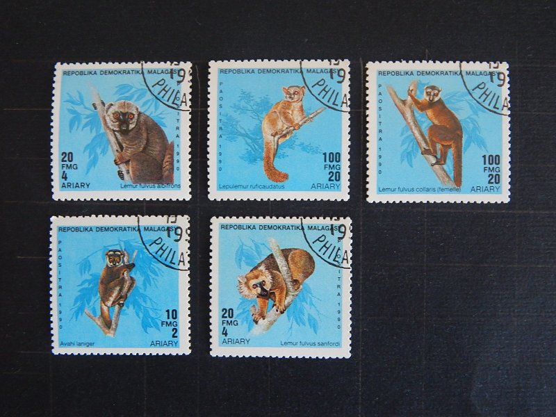 Animals, (2305-Т)