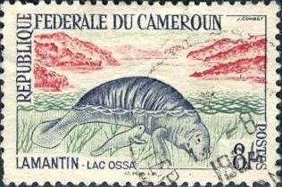 Cameroun; 1962: Sc. # 366: O/Used Single Stamp