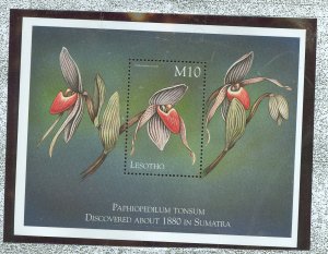 Lesotho #1199  Souvenir Sheet