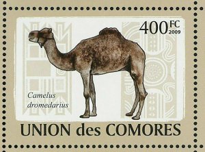 Camels Stamp Camelus Dromedarius Camelus Bactrianus S/S MNH #2128-2133 