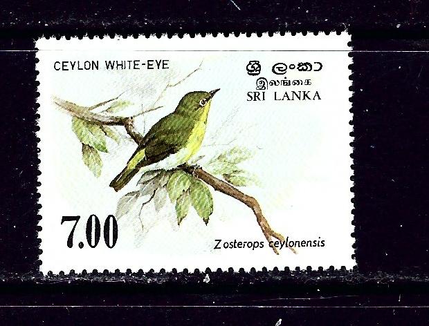 Sri Lanka 877 MNH 1988 Bird