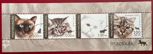 Cats SPECIMEN of Hungary 2005 mini sheet MNH