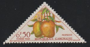 Gabon J35 Fruit