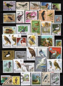 ZAYIX Birds Used Collection 40 Different Worldwide Wildlife Ducks 112622S32