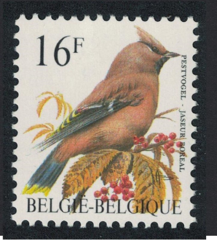 Belgium Bohemian waxwing Bird Buzin 'Jaseur Boreal' 16f 1994 MNH SC#1447