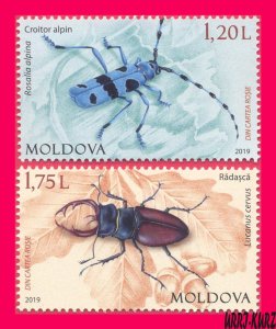 MOLDOVA 2019 Fauna Insects Beetles Rosalia Alpina Lucanus Cervus(Beetle-Deer) 2v