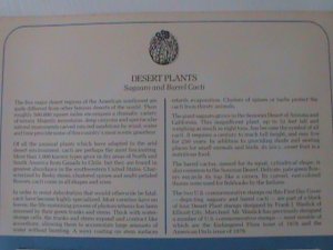 ​UNITED STATES 1981-DESERT PLANTS FDC WITH HISTORY PAGE-MNH VF-LAST ONE