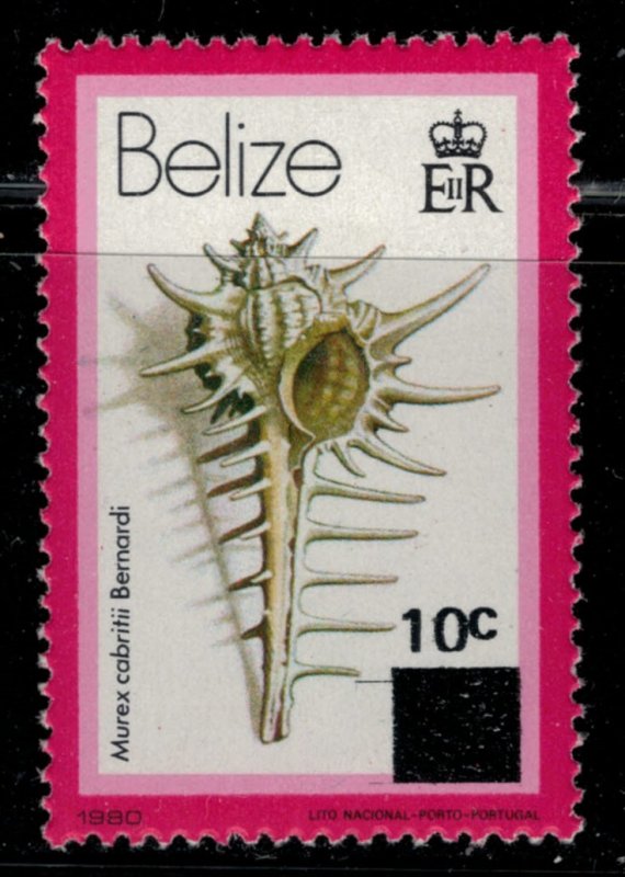 Belize #422*  CV $7.50  Seashell surcharged