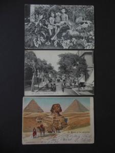 EGYPT : Scarce group of 12 Early Picture Post Cards. Many unusual