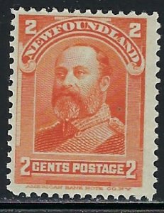 Newfoundland 81 MNH 1897 issue (fe2836)