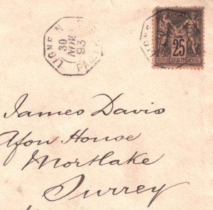 France INDOCHINA Cover *LIGNE N PAQUEBOT* 1893 GB Surrey via HONG KONG CDS MA551