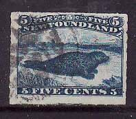 Newfoundland-Sc#40- id21-used 5c blue Harp seal-1876-