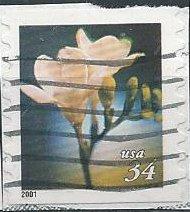 US 3478 (used on paper) 34¢ freesia (s/a coil) (2001)