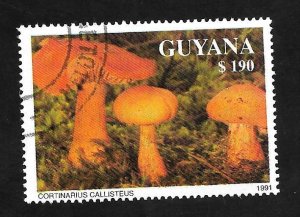 Guyana 1991 - CTO - Scott #2467