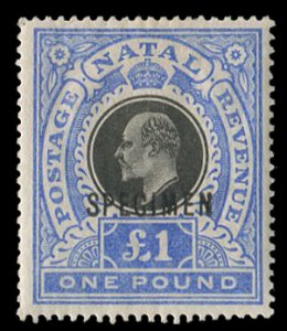 Natal #96S, 1902-3 Edward, £1 ultramarine and black, overprinted Specimen, h...