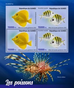 Guinea - 2020 Fishes, Yellow Tang, Damselfish - 4 Stamp Sheet - GU200311a
