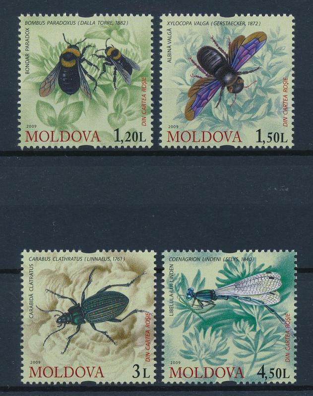 [39372] Moldova 2009 Insects Insekten Insectes Bee Beetle MNH