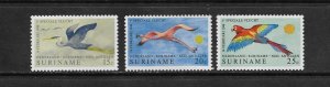 BIRDS - SURINAME #382-4  MNH