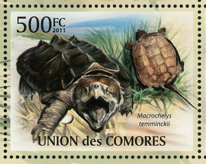 Turtles Stamp Pelochelys Cantorii Geochelone Sulcata S/S MNH #3007-3011 