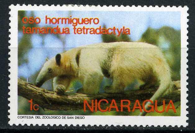 Nicaragua 1974 - Scott 946 MH - 1c, Anteater 