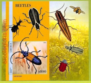 B0531 - LIBERIA - Stamp Sheet - 2023 - INSECTS, Beetles-