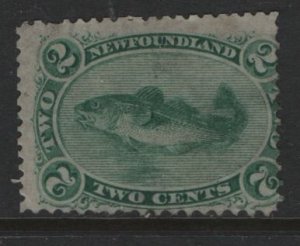 NEWFOUNDLAND  24  NO GUM  DISCOUNTED