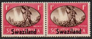 Swaziland Sc #38 Mint Hinged pair