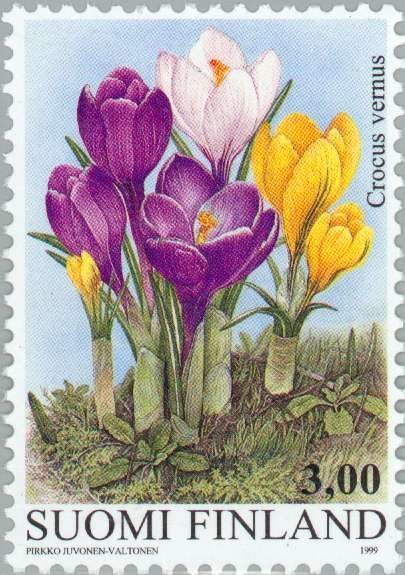 Finland 1999 #1109 MNH. Crocus, flower