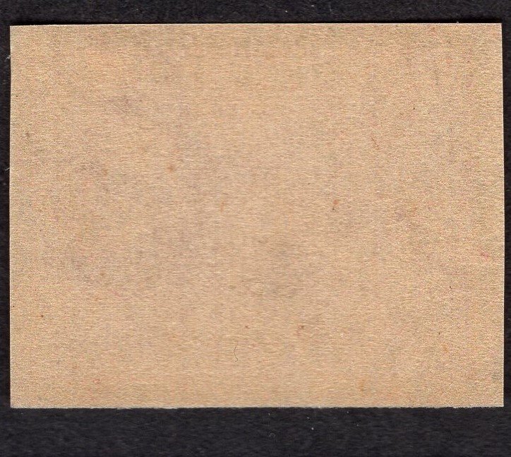 SC #371 Extra Fine, w/Original Gum. Never Hinged.