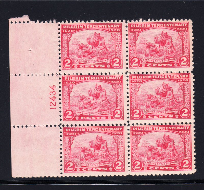 #549  Fine/NH Plate block