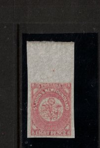 Newfoundland #22 Extra Fine Never Hinged Top Margin Single