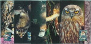 86294 - AUSTRALIA - Postal History - Set of 5 STATIONERY CARDS Animals OWLS