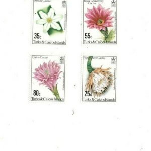 Turks and Caicos - 1980 - Cactus Species - Set of Four - MNH (Scott#471-4)