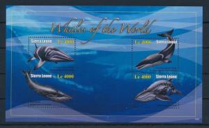 [28295] Sierra Leone 2011 Marine Life Whales MNH Sheet