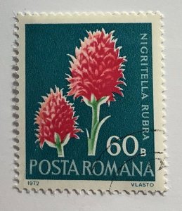 Romania 1972 Scott 2334 CTO - 60b,  Flowers, Nigritella rubra