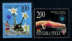 [69948] Bosnia Herzegovina Serbia 2000 Flora Flower Olm Salamander  MNH