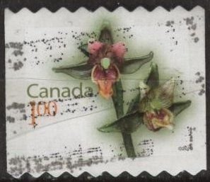 Canada 2358 (used) $1 flowers: giant helleborine orchid (2010)