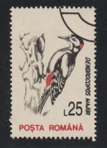 Romania 3816 Bird