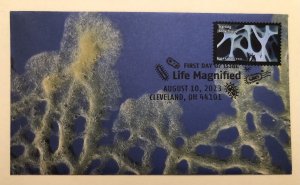 2023 Life Magnified FDC HAND CRAFTED FOLDED CACHET Microscope Starling Bone