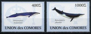 Cetacean Whale Marine Fauna Serie Set of 2 Stamps Mint NH