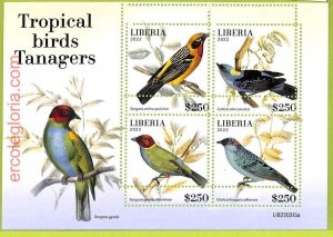 B0527 - LIBERIA - MISPERF ERROR Stamp Sheet - 2022 - Tropical birds Tanagers-