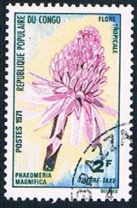 Congo PR J47 Used Flower (BP434)