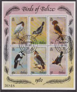 Belize # 392a, Birds of Belize, Souvenir Sheet, Used, 1/2 Cat.